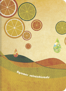 手持ち花火は線香花火派です 表紙