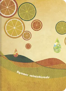 【倫理】⑬儒教の日本化