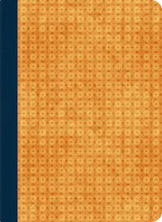 古文2(自分用)-識別- cover